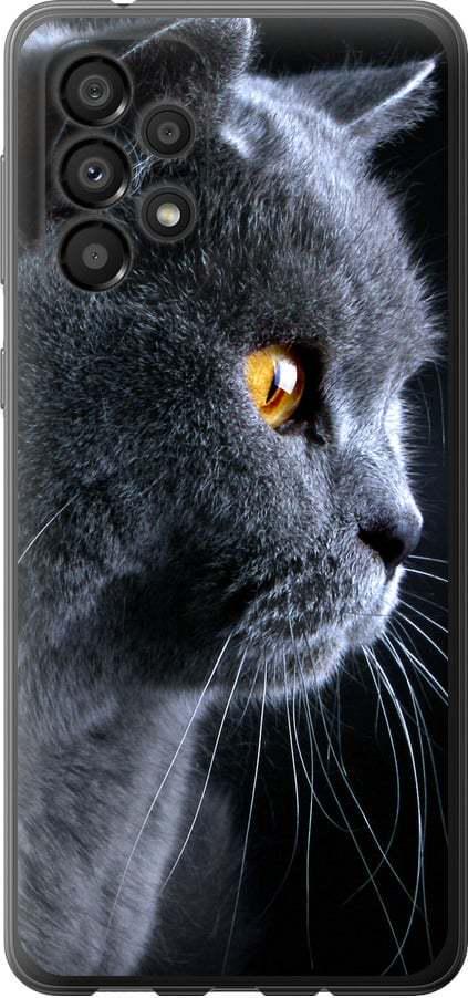 Чехол на Samsung Galaxy A33 5G A336B Красивый кот (3038b-2584-42517)