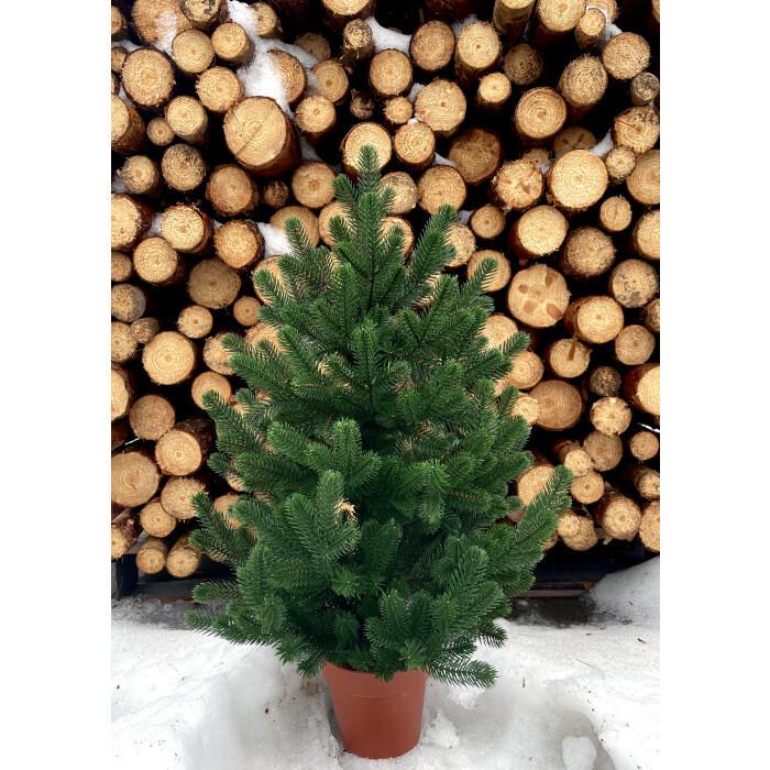 Елка SGH Traditional литая в горшке 70 см Зеленый