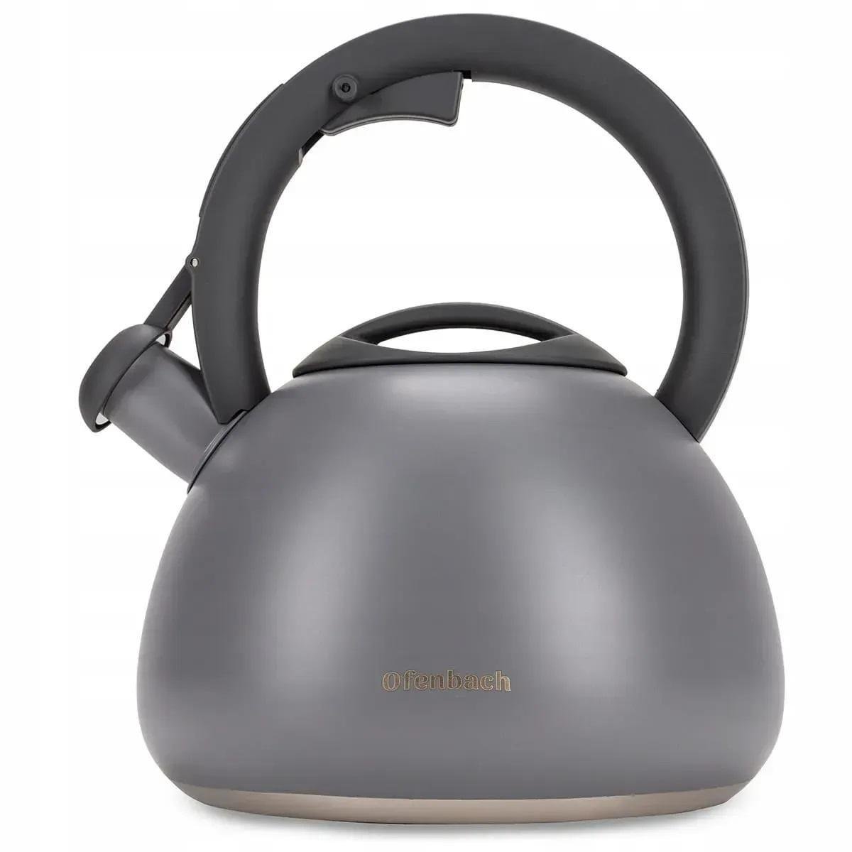 Чайник зі свистком та нейлоновою ручкою Ofenbach KM-100321 з нержавіючої сталі 2,7 л Сірий (150-84-100321)