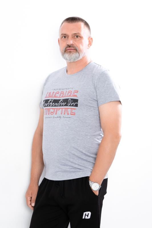 Футболка чоловіча 3XL Світло-сірий (10287-v1)