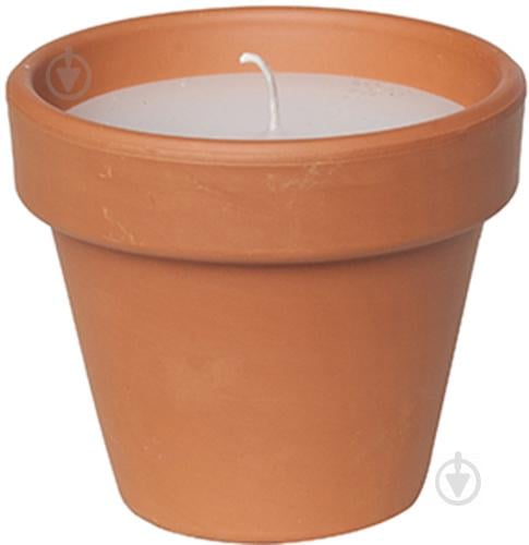 Свеча Candle pot Стандарт 10 х 11 см Коричневый с белым (000001346) Свеча Candle pot Стандарт 10 х 11 см Коричневый с белым (000001346)