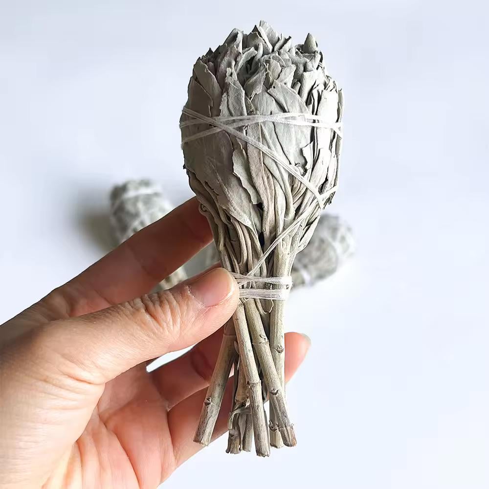 Шалфей на калифорнийской ножке White Sage белый факел 14 см (14-1) - фото 2 Шалфей на калифорнийской ножке White Sage белый факел 14 см (14-1) - фото 2