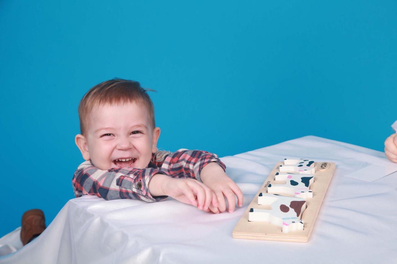 Набор рамка-вкладыш HEGA Коровы с объёмными фигурками и карточками(123) - фото 8 Набор рамка-вкладыш HEGA Коровы с объёмными фигурками и карточками(123) - фото 8