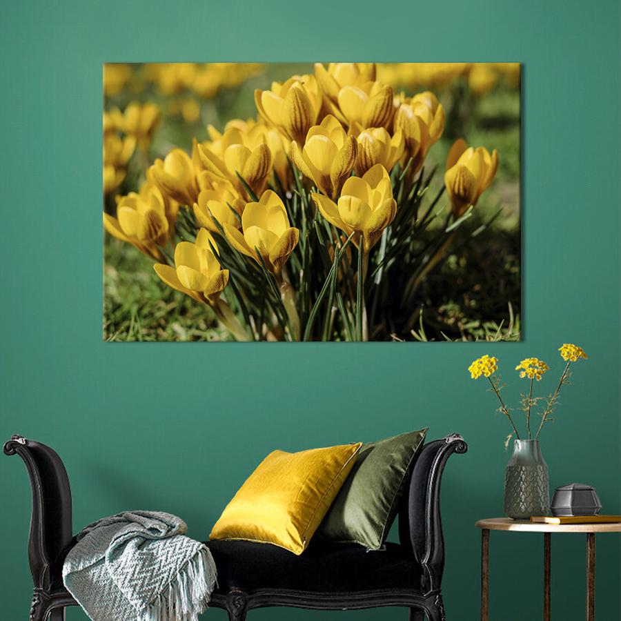 Картина на холсте Жёлтый крокус 51x34 см (796-1)