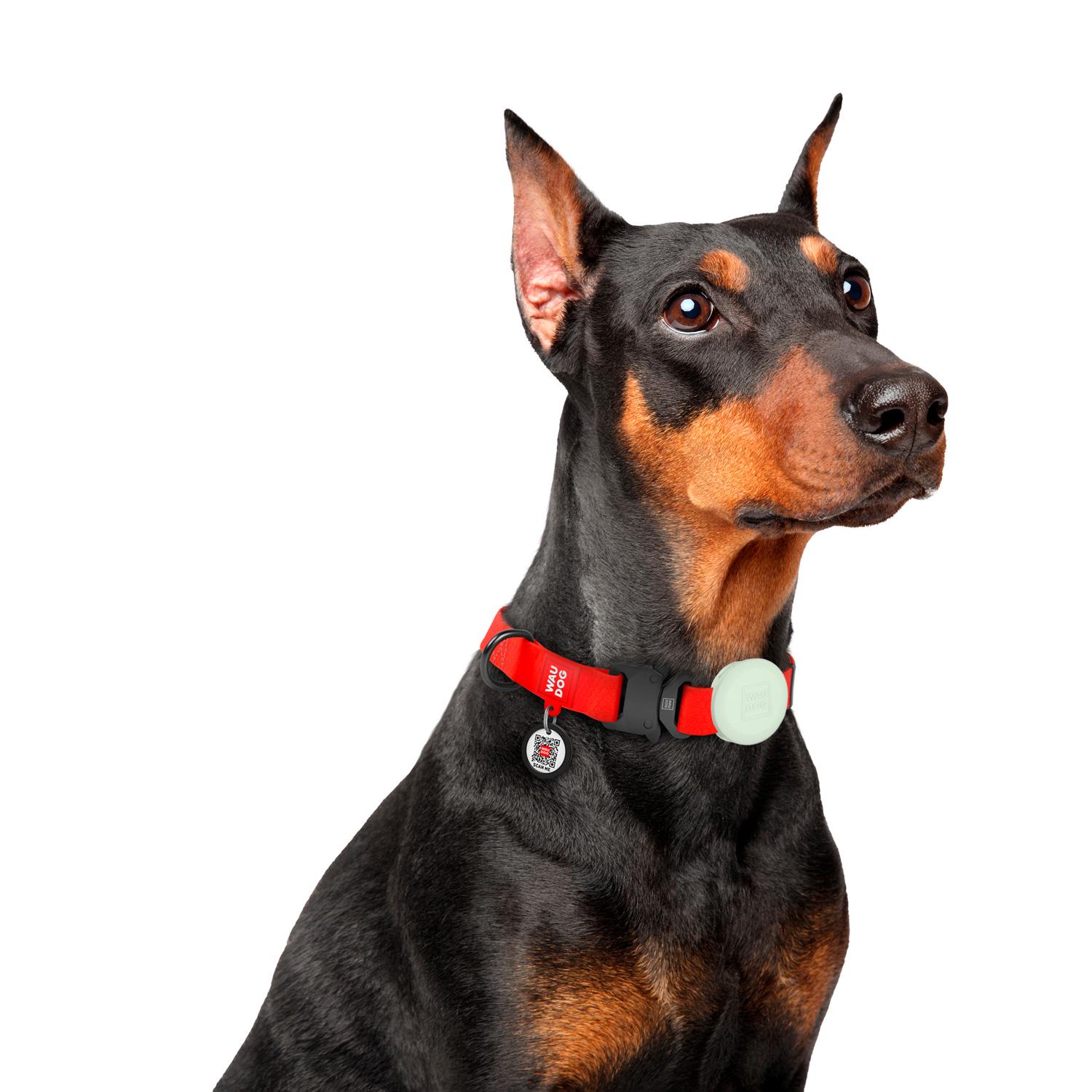 Чехол для ошейников и шлей силиконовый AirTag WAUDOG Silicone светонакопительный 15-35 мм (5040)