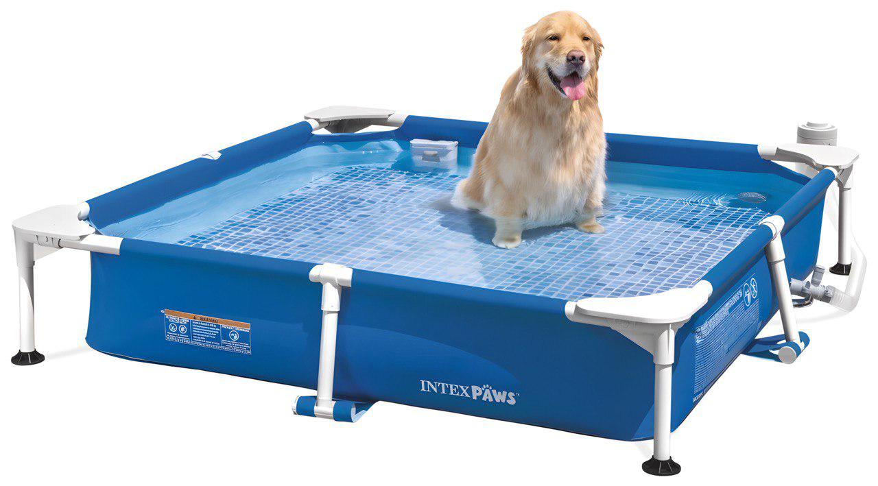 Басейн для домашніх тварин Intex 48402 152х152х30,5 см з металевим каркасом/скімером і диспенсером - фото 4 Басейн для домашніх тварин Intex 48402 152х152х30,5 см з металевим каркасом/скімером і диспенсером - фото 4