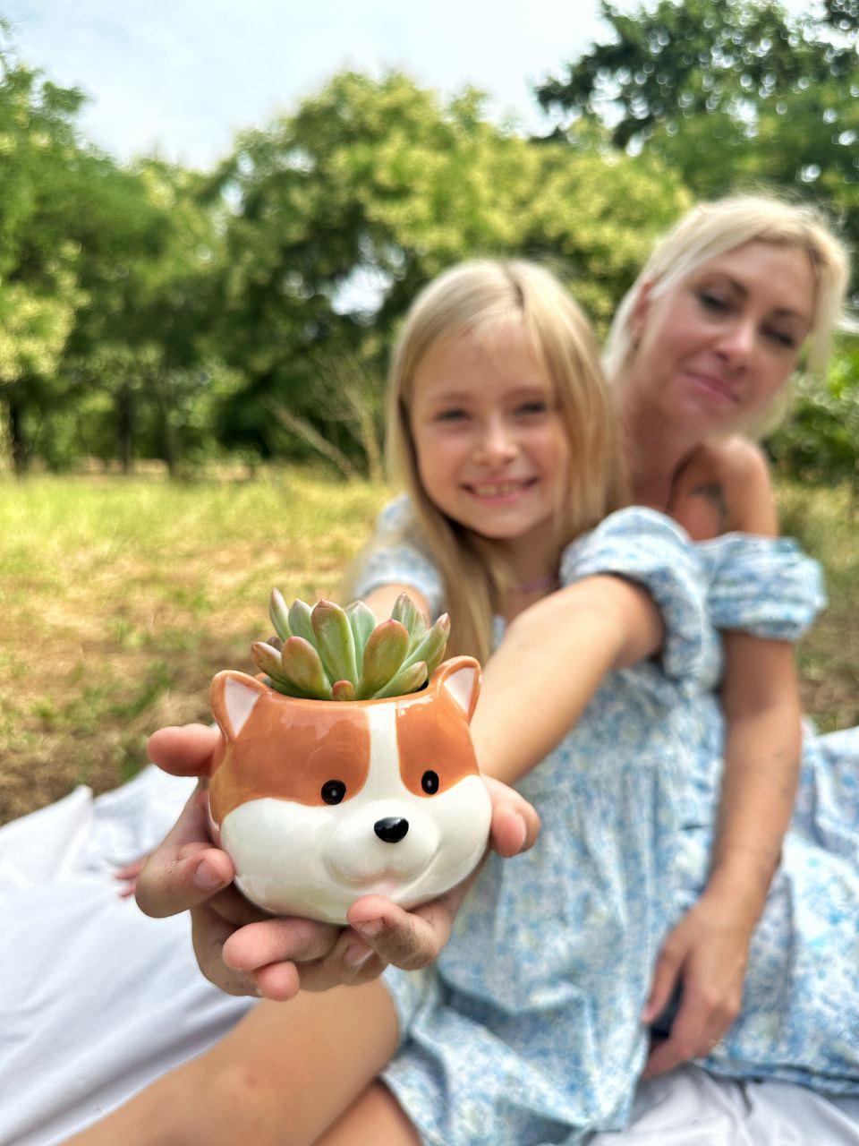 Набор Посади сам Лисичка - фото 4