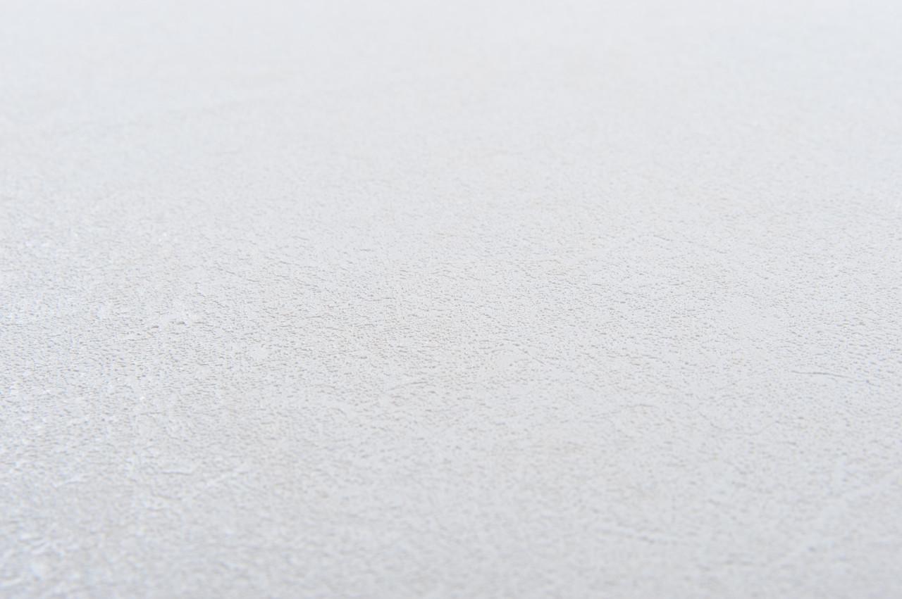 Шпалери універсальні LS миючі 10,05х1,06 м (1-1564) - фото 3 Шпалери універсальні LS миючі 10,05х1,06 м (1-1564) - фото 3