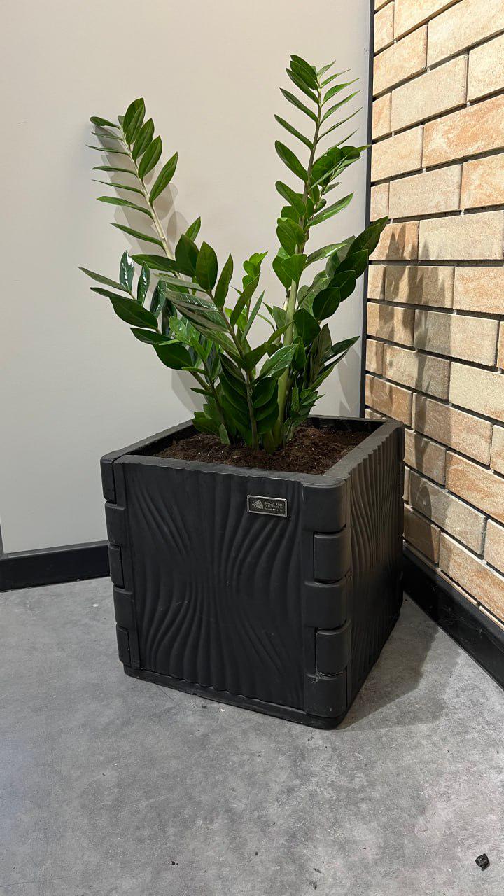 Кашпо для квітів Brickland Brickland Wave cube - фото 2 Кашпо для квітів Brickland Brickland Wave cube - фото 2