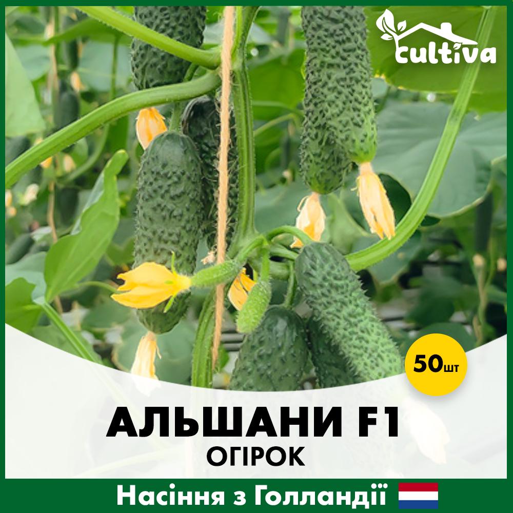 Семена огурца Bejo Ольшаны F1 50 шт. (alsh-50)