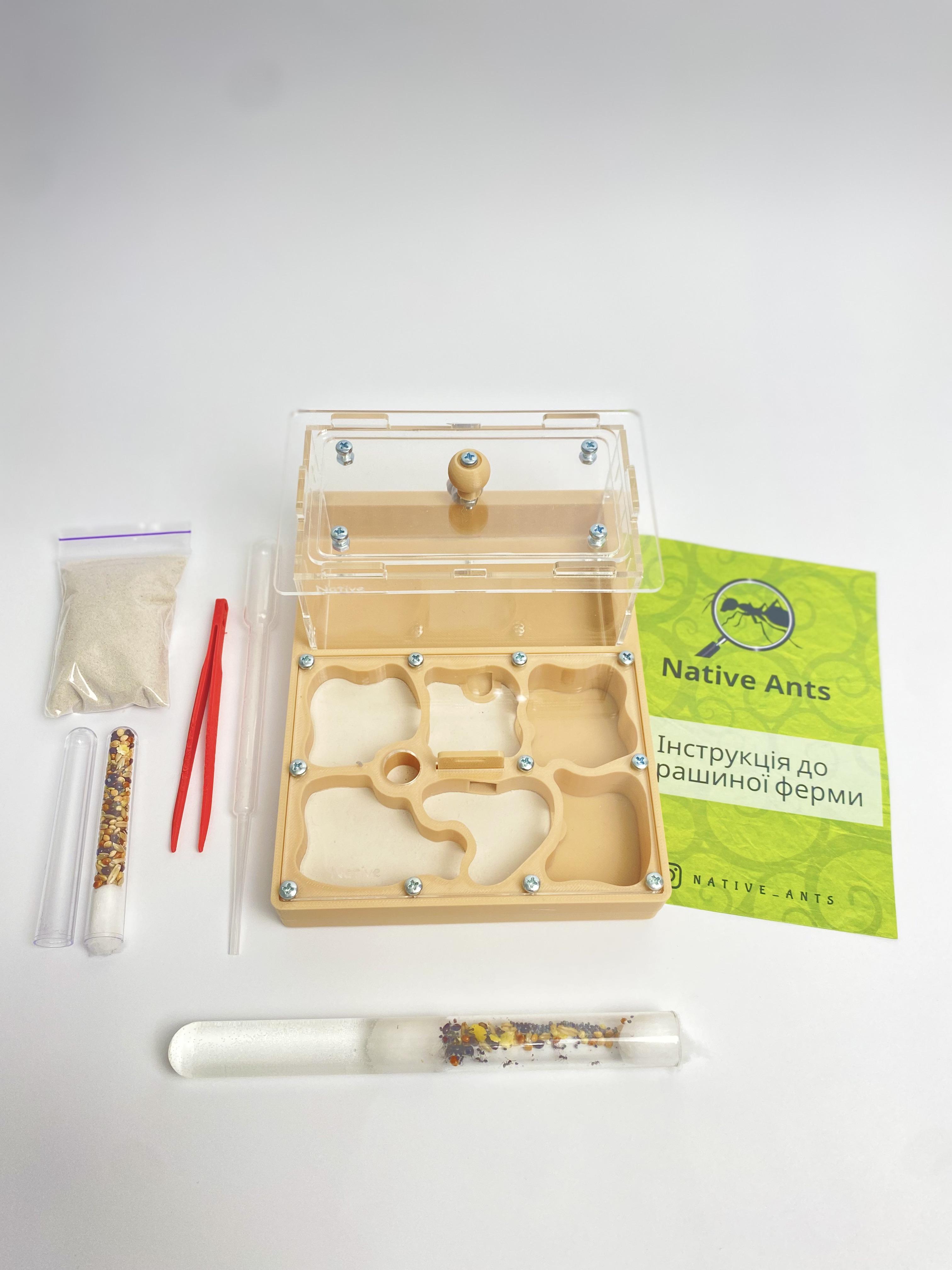 Стартовый набор для новичков Муравьиная ферма "Стандарт" с муравьями Messor muticus/аксессуарами и кормом Бежевый (2679574176)