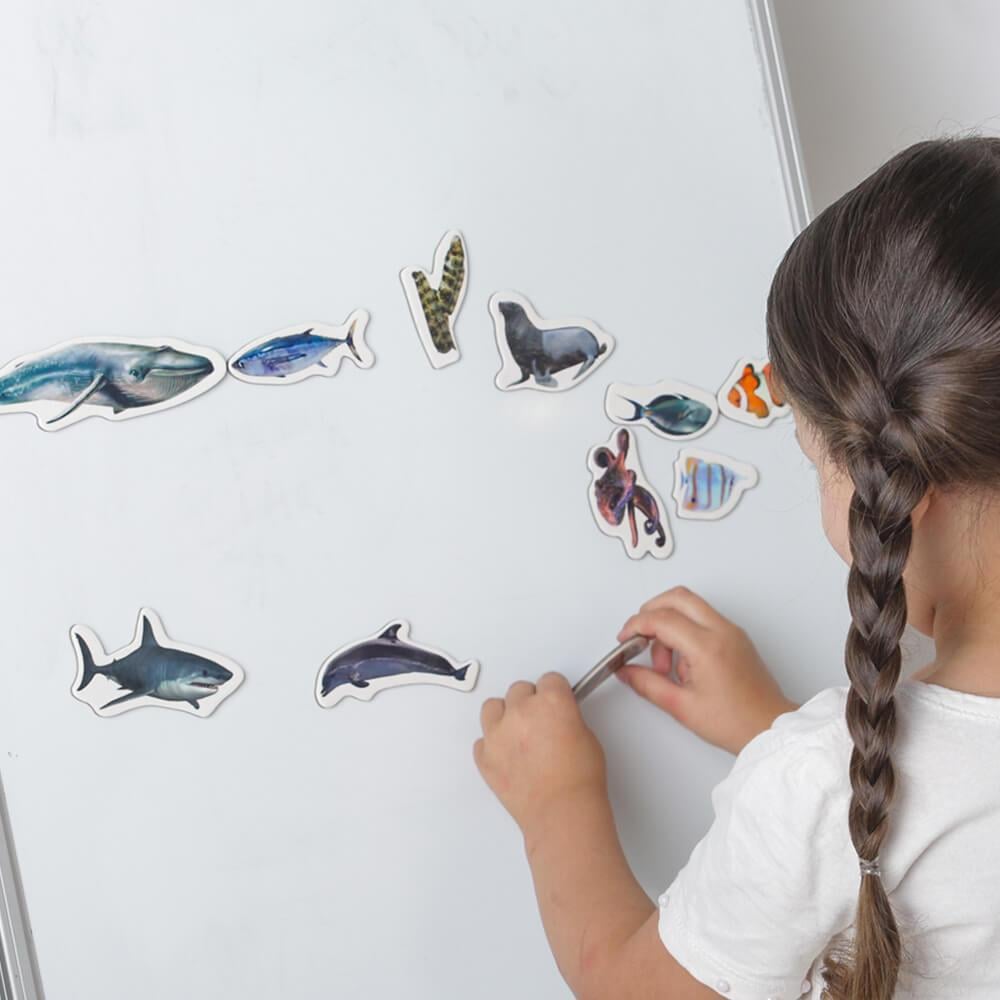 Набір магнітів Magdum Морські фото (ML4031-28 EN) - фото 9 Набір магнітів Magdum Морські фото (ML4031-28 EN) - фото 9