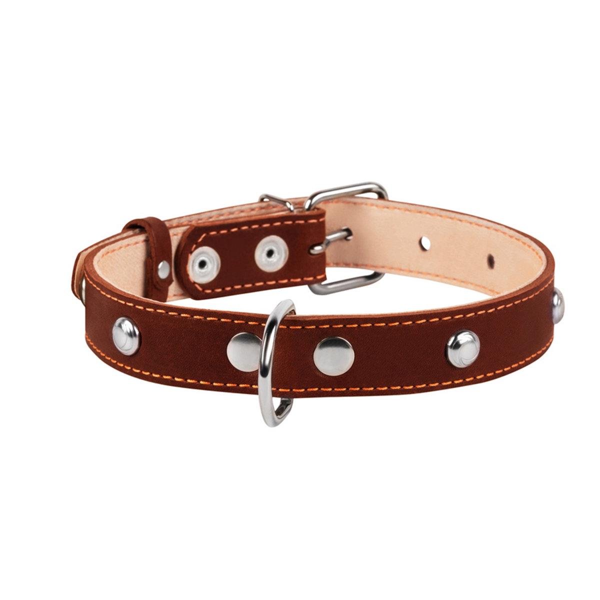 Ошейник Collar двойной 25 мм 38-50 см Коричневый