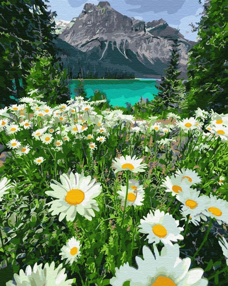 Картина по номерам Brushme Ромашки у гор 40х50 см (GX29451)