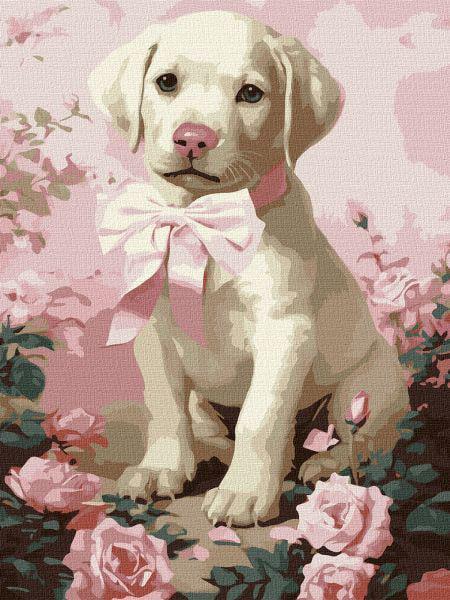 Картина за номерами Ideyka Пухнастий подарунок 30x40 см (Id-KHO6755)