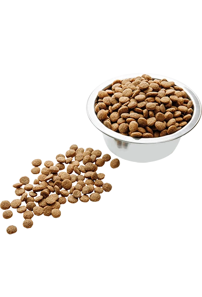 Корм для кошек сухой Пан Кот Классик 10 кг (23877248) - фото 2 Корм для кошек сухой Пан Кот Классик 10 кг (23877248) - фото 2