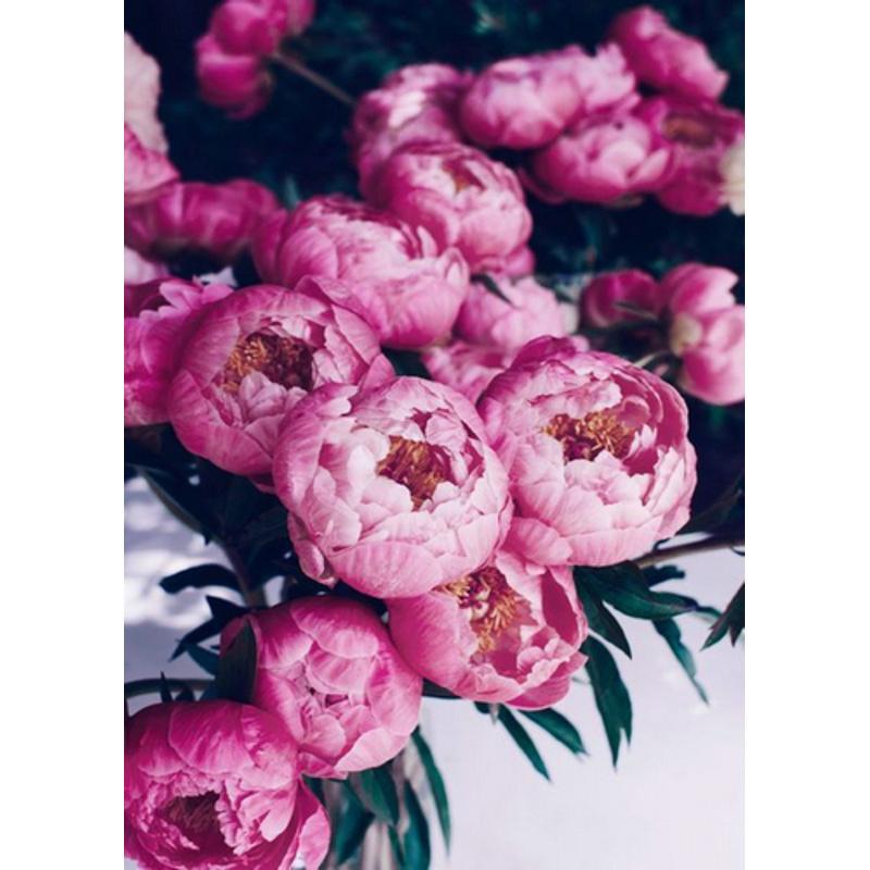 Алмазная мозаика Strateg Премиум Пионы молочноцветковые 30х40 см (Str-GD86094)