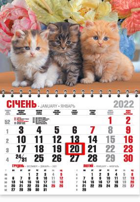 Календарь настенный квартальный МАРКО на 2022 год офисный эконом Котята (еко55 2022)