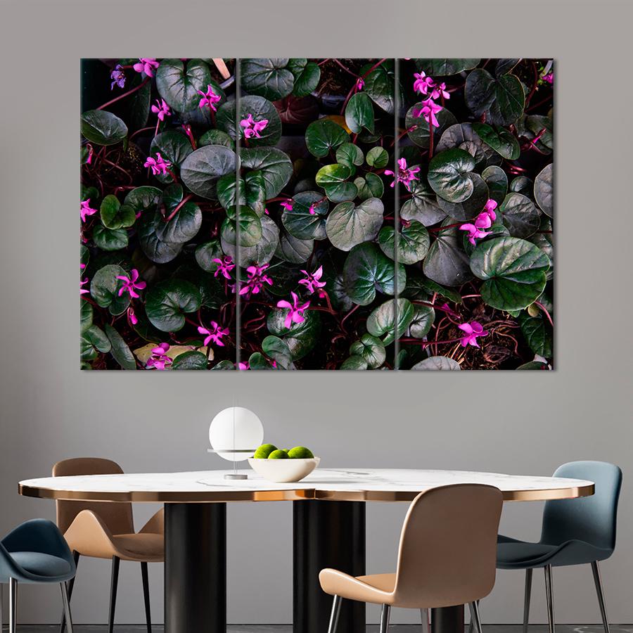 Картина цветы и растения Розовые цветы цикламена 156x100 см (A977-3)
