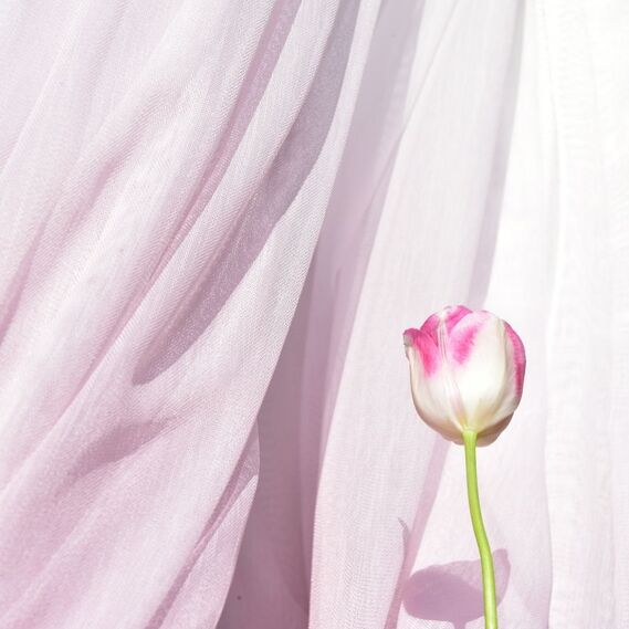 Тюль батист IDEIA Деграде V-7 2,9 м однотонный Лиловый (2200004212005)
