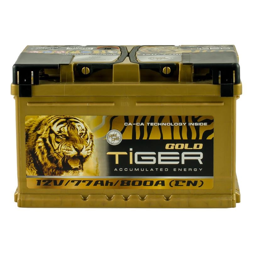 Аккумулятор Tiger 77 Аh/12V Gold (AFS077-G00)