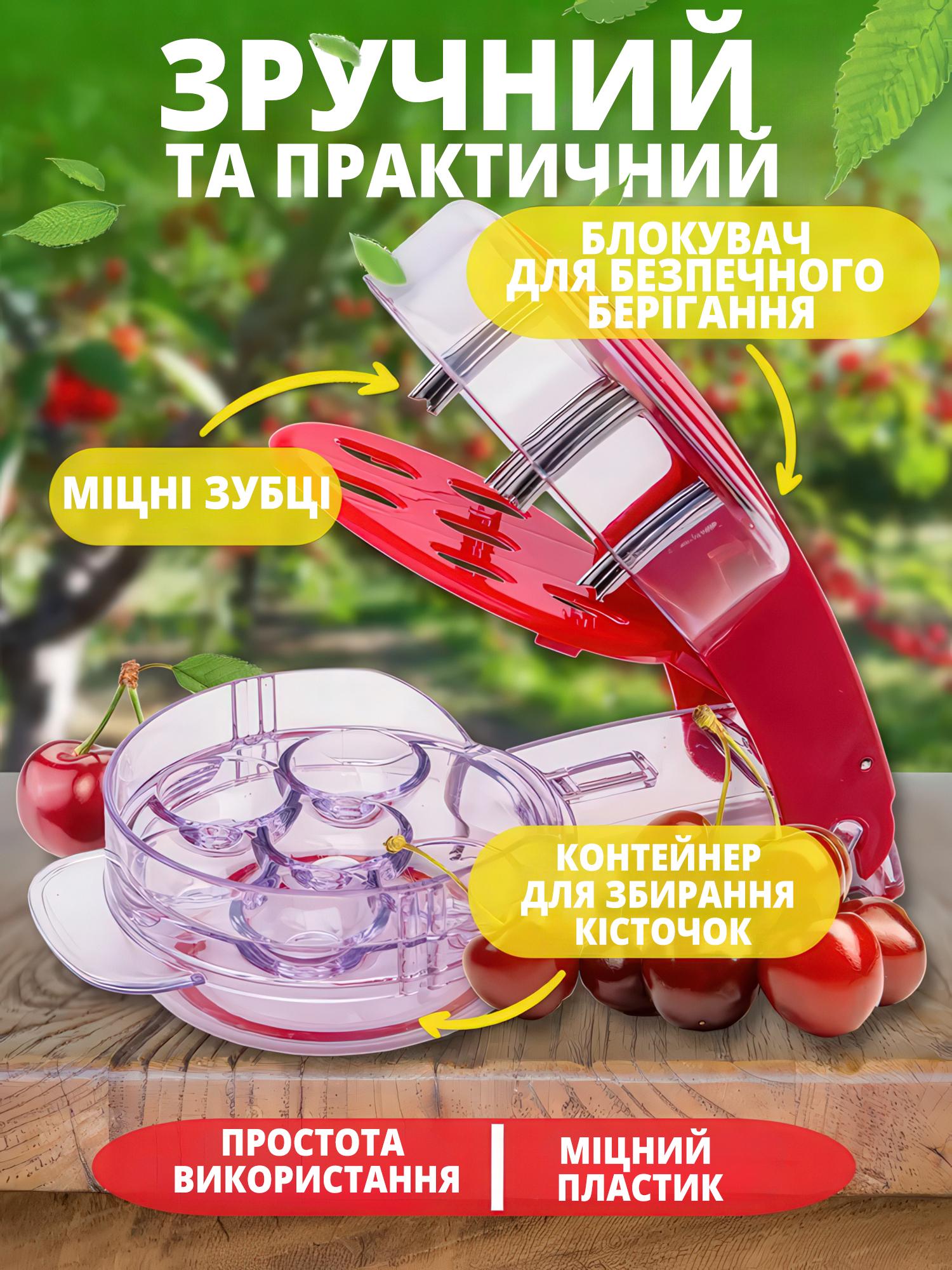 Ручной отделитель косточек на 6 ягод вишни/черешни/оливок - фото 4 Ручной отделитель косточек на 6 ягод вишни/черешни/оливок - фото 4