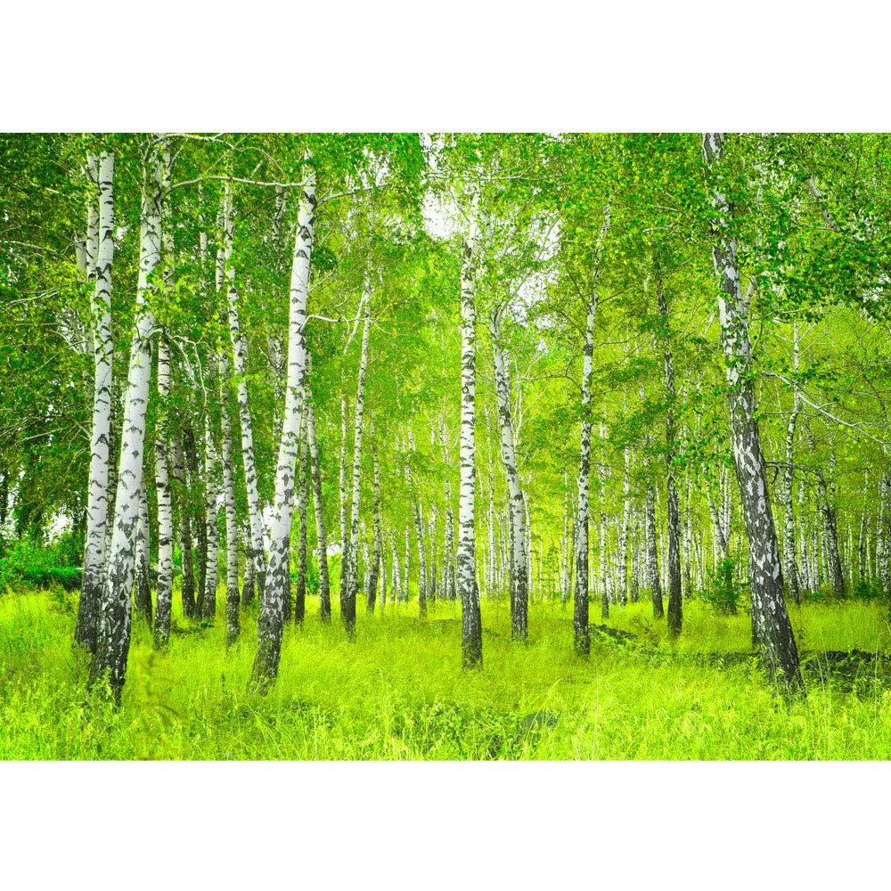 Фотообои флизелиновые 3D природа 300x210 см Consalnet Березовый лес (0112-300-210)