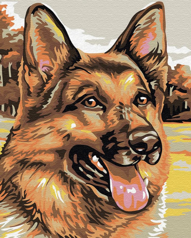 Картина по номерам Brushme "Овчарка" (GX30318)