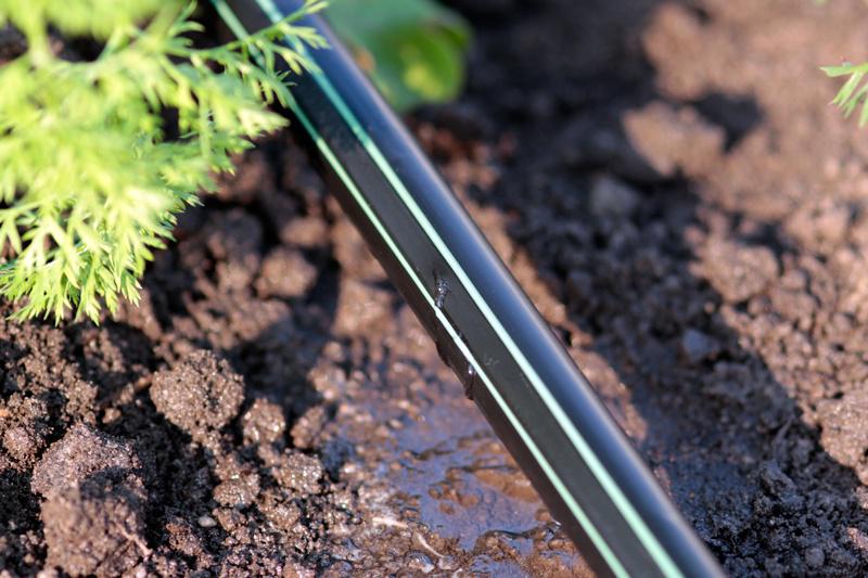 Капельная лента Presto-PS щелевая Blue Line отверстия через 10 см расход воды 1,4 л/ч 500 м (BL-10-500) - фото 11 Капельная лента Presto-PS щелевая Blue Line отверстия через 10 см расход воды 1,4 л/ч 500 м (BL-10-500) - фото 11