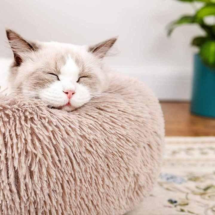 Леженка пушистая для кошек и собак 50 см (622-11) - фото 3 Леженка пушистая для кошек и собак 50 см (622-11) - фото 3