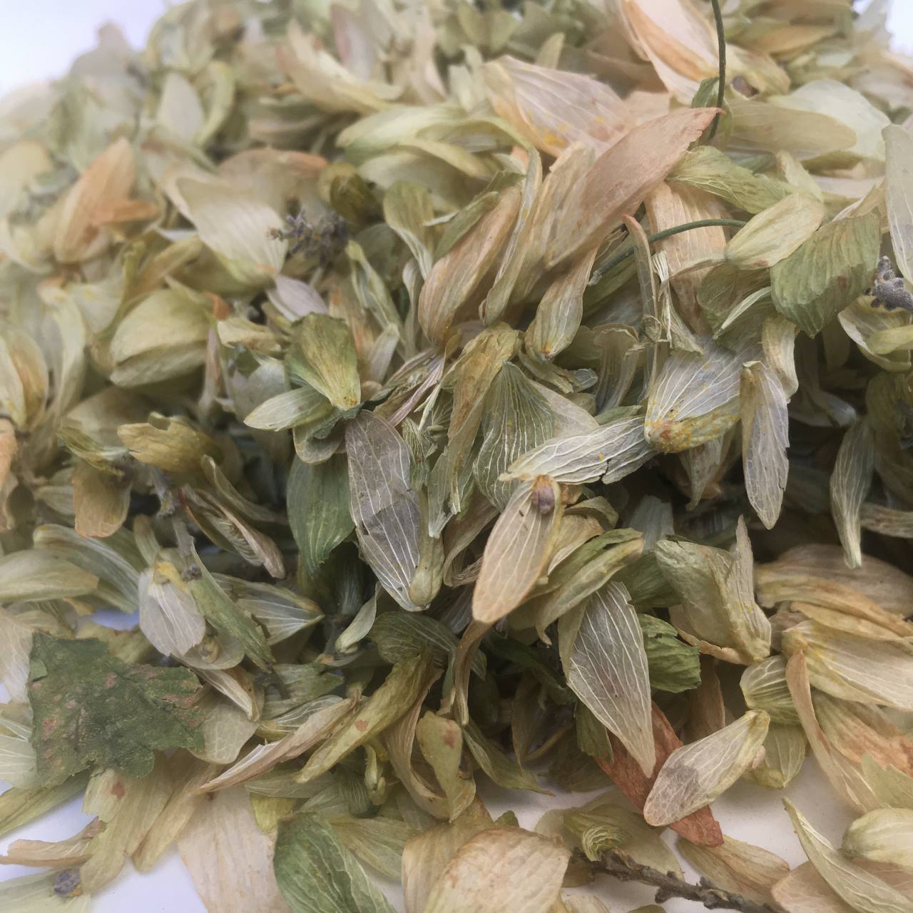 Хмель шишки Карпаты 50 г (629ca72c5a9bc14b63296fc3)