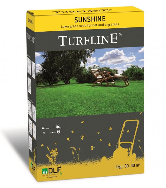 Насіння для газону DLF-Trifolium Sunshine 1 кг (115)