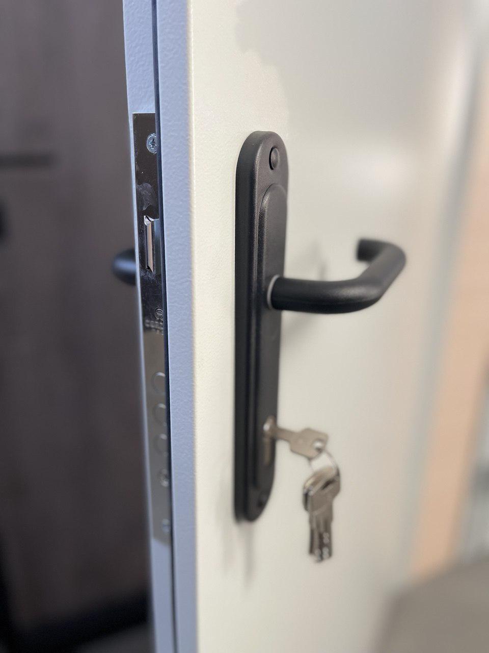 Входная дверь Ваш ВиД Техническая Противопожарная ЕИ30 с сертификатом 2 листа металла 1200х2040х60 мм Л/П Ral 7035 - фото 2 Входная дверь Ваш ВиД Техническая Противопожарная ЕИ30 с сертификатом 2 листа металла 1200х2040х60 мм Л/П Ral 7035 - фото 2