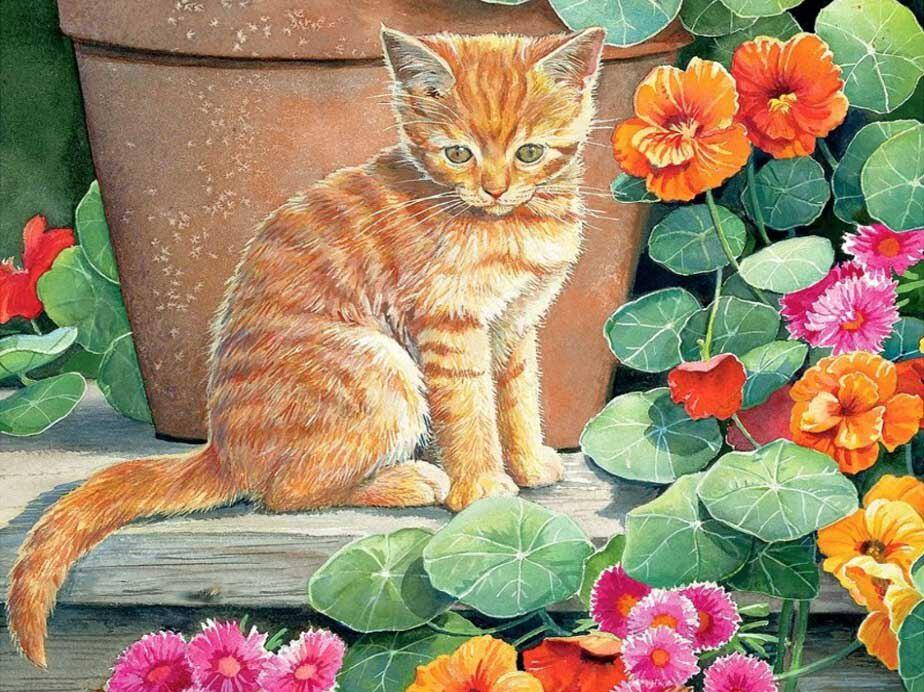 Алмазная мозаика Рыжий котенок в цветах 20x30 см (23655)