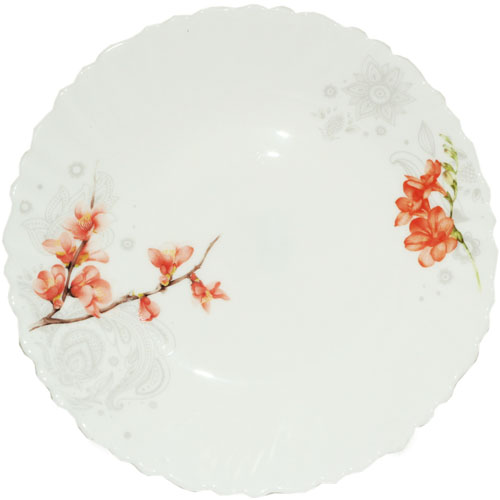 Набор тарелок SNT Айва оранж 6 шт. (30072-16003)