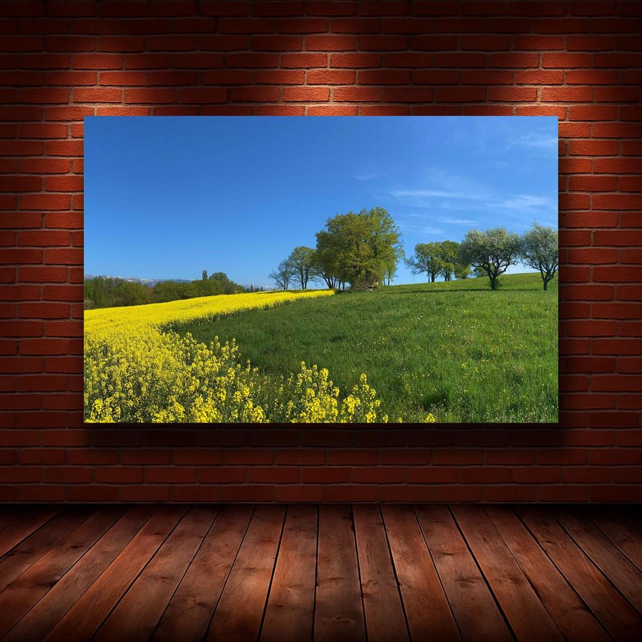 Картина на холсте Природа 55х85 см (N1277)