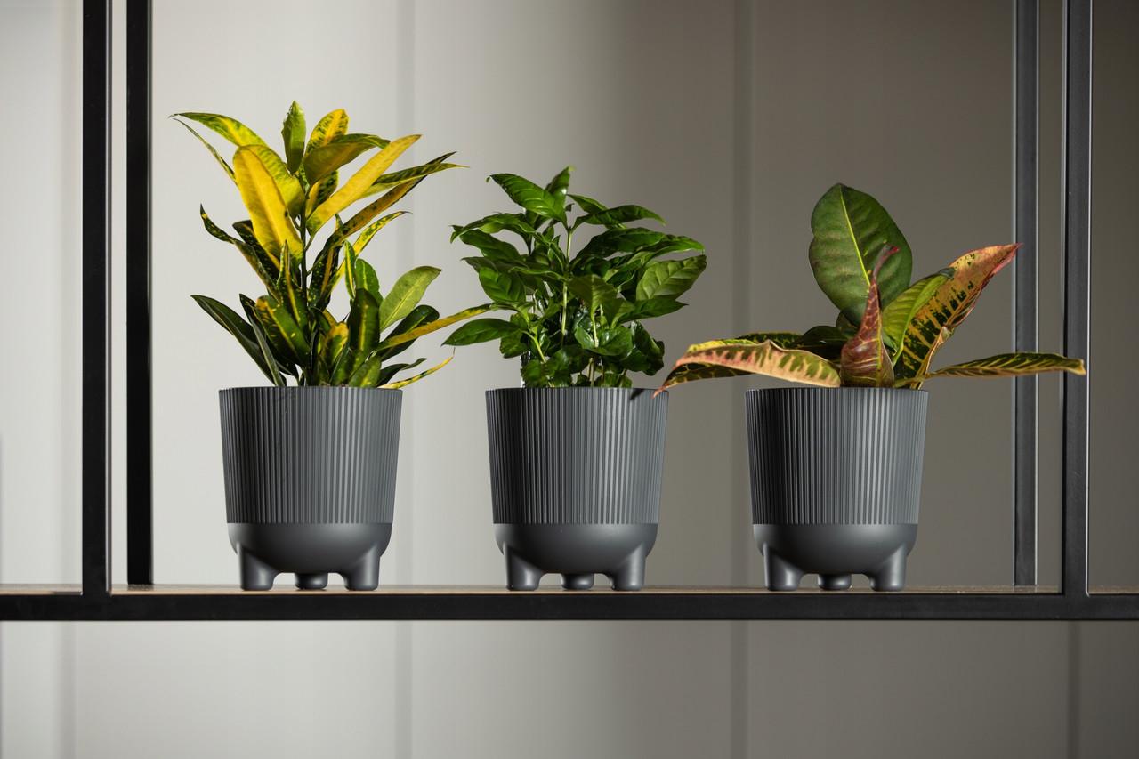 Вазон для цветов Lamela ARIA 181х195 мм Кремовый (25419751773) - фото 5 Вазон для цветов Lamela ARIA 181х195 мм Кремовый (25419751773) - фото 5