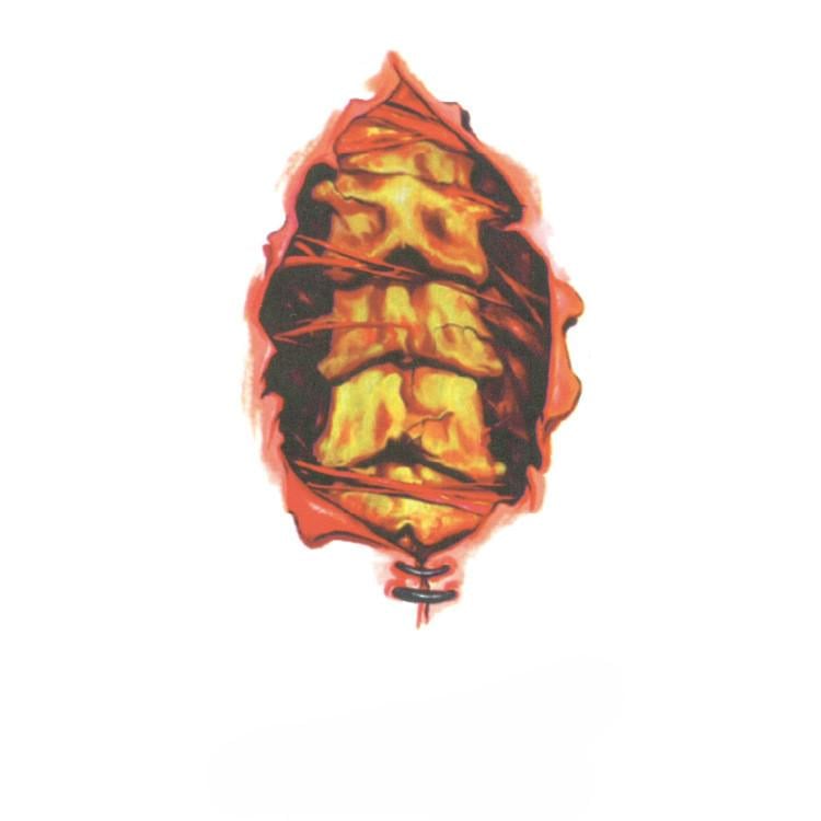 Наклейки тату для Хэллоуина 10x6 см Разноцветный (900004)