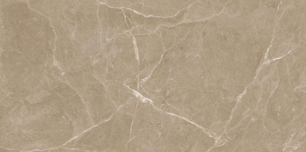 Керамогранитная плитка Dark Brown Carving 120х60 см (21091)