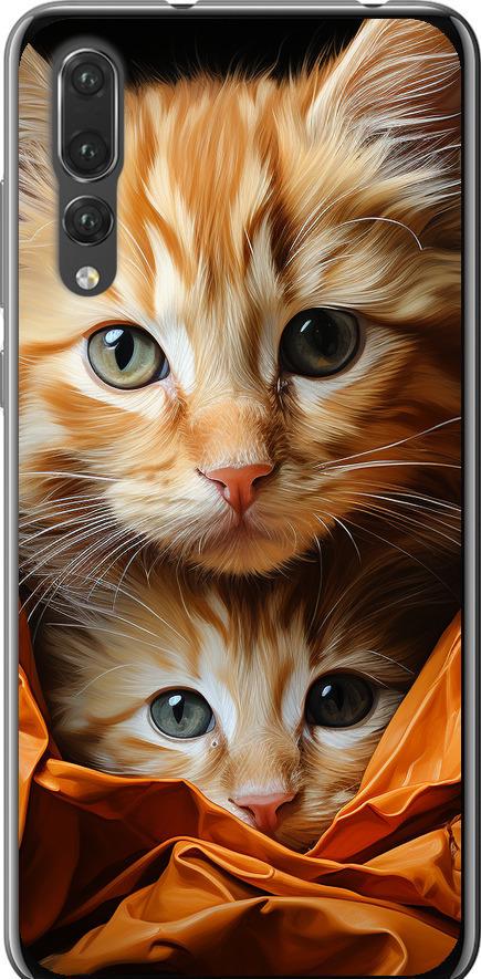 Чехол на Huawei P20 Pro Котики 2 (5664t-1470-42517)