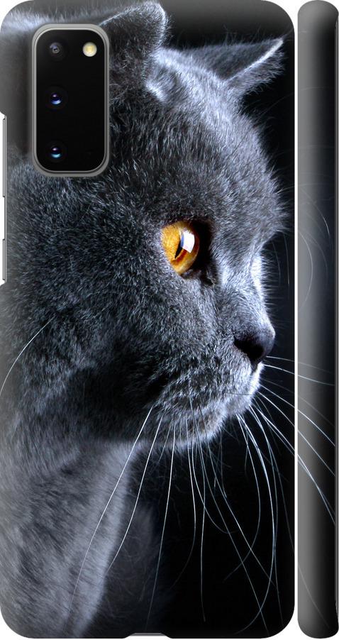 Чехол на Samsung Galaxy S20 Красивый кот (3038m-1824-42517)
