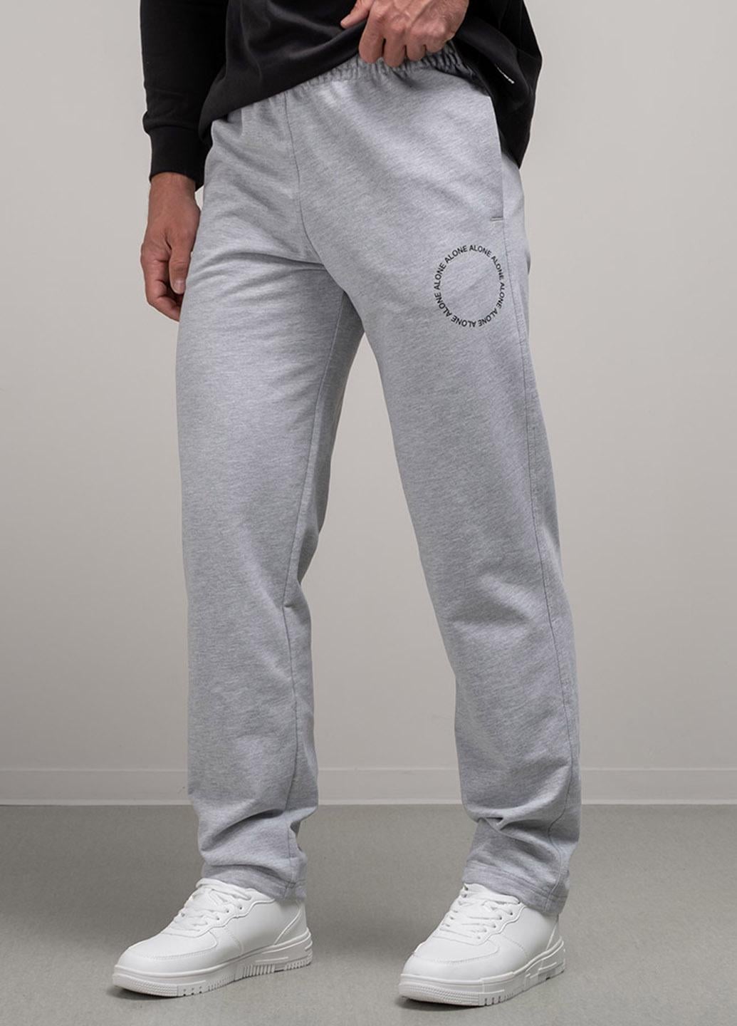 Спортивні штани чоловічі Power 102716 L Сірий (102716_L)