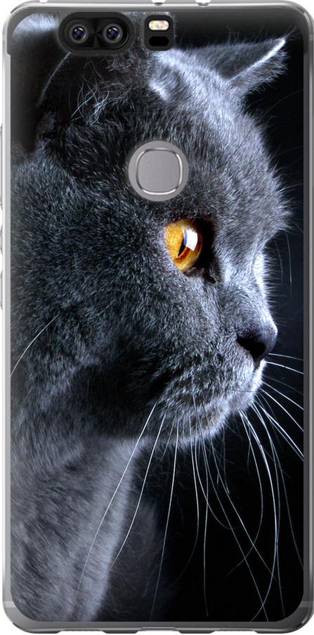 Чехол на Huawei Honor V8 Красивый кот (3038u-608-42517)