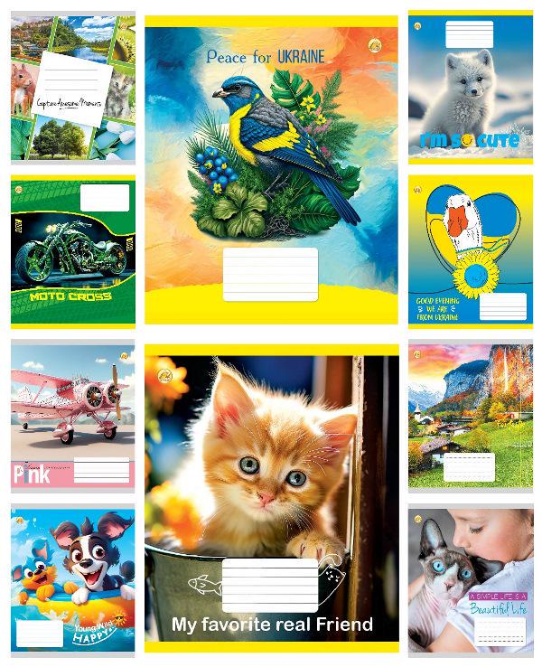 Зошити учнівські у клітинку 12 арк. 25 шт. в уп. ТЕ41104 (MTT-183886) Зошити учнівські у клітинку 12 арк. 25 шт. в уп. ТЕ41104 (MTT-183886)