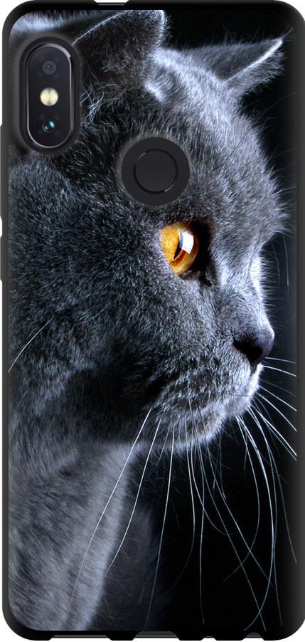 Чехол на Xiaomi Redmi Note 5 Pro Красивый кот (3038b-1353-42517)
