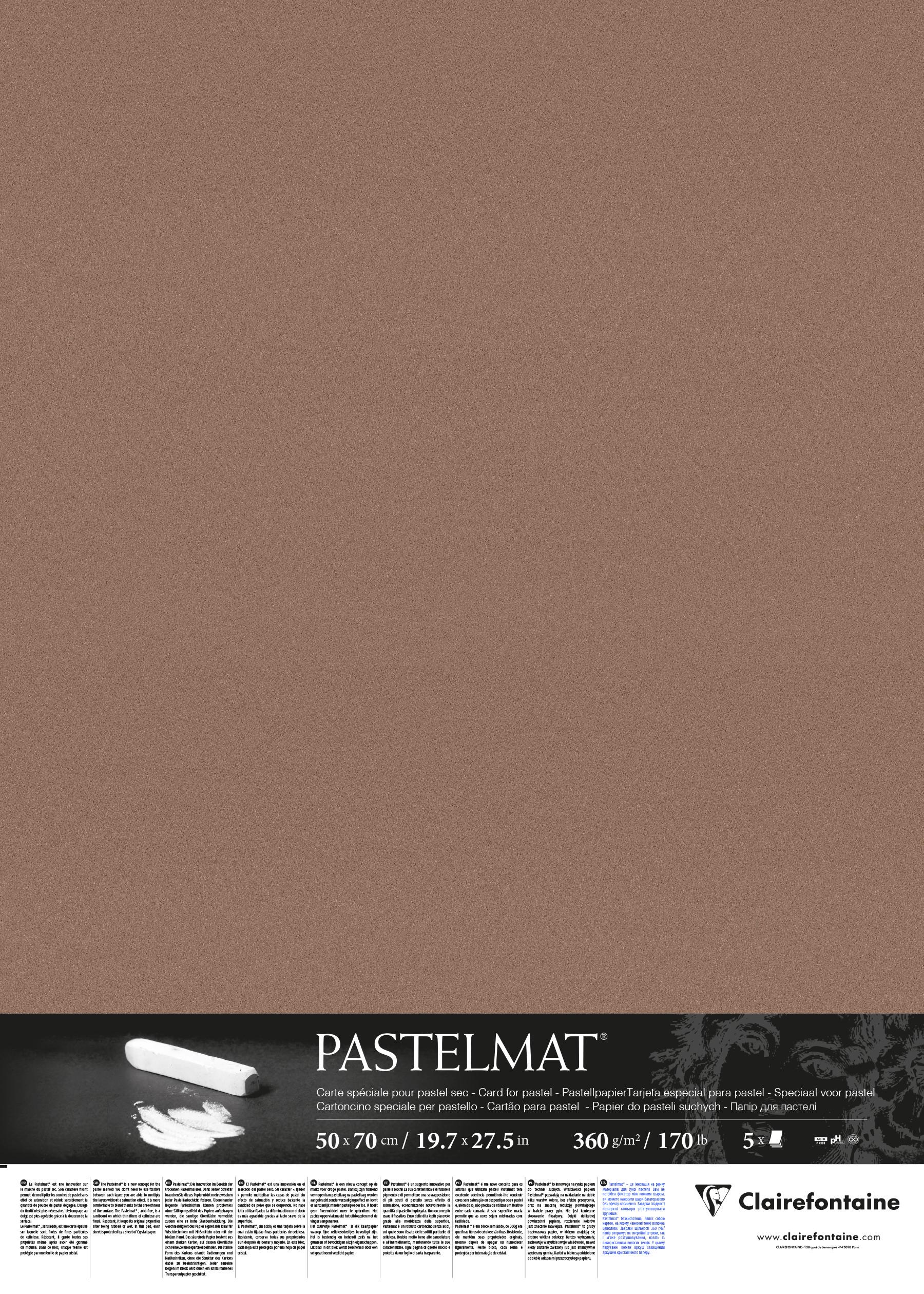 Аркуш Clairefontaine Pastelmat 50х70 см Light Brown (96011)