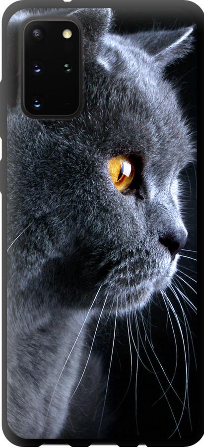 Чехол на Samsung Galaxy S20 Plus Красивый кот (3038b-1822-42517)