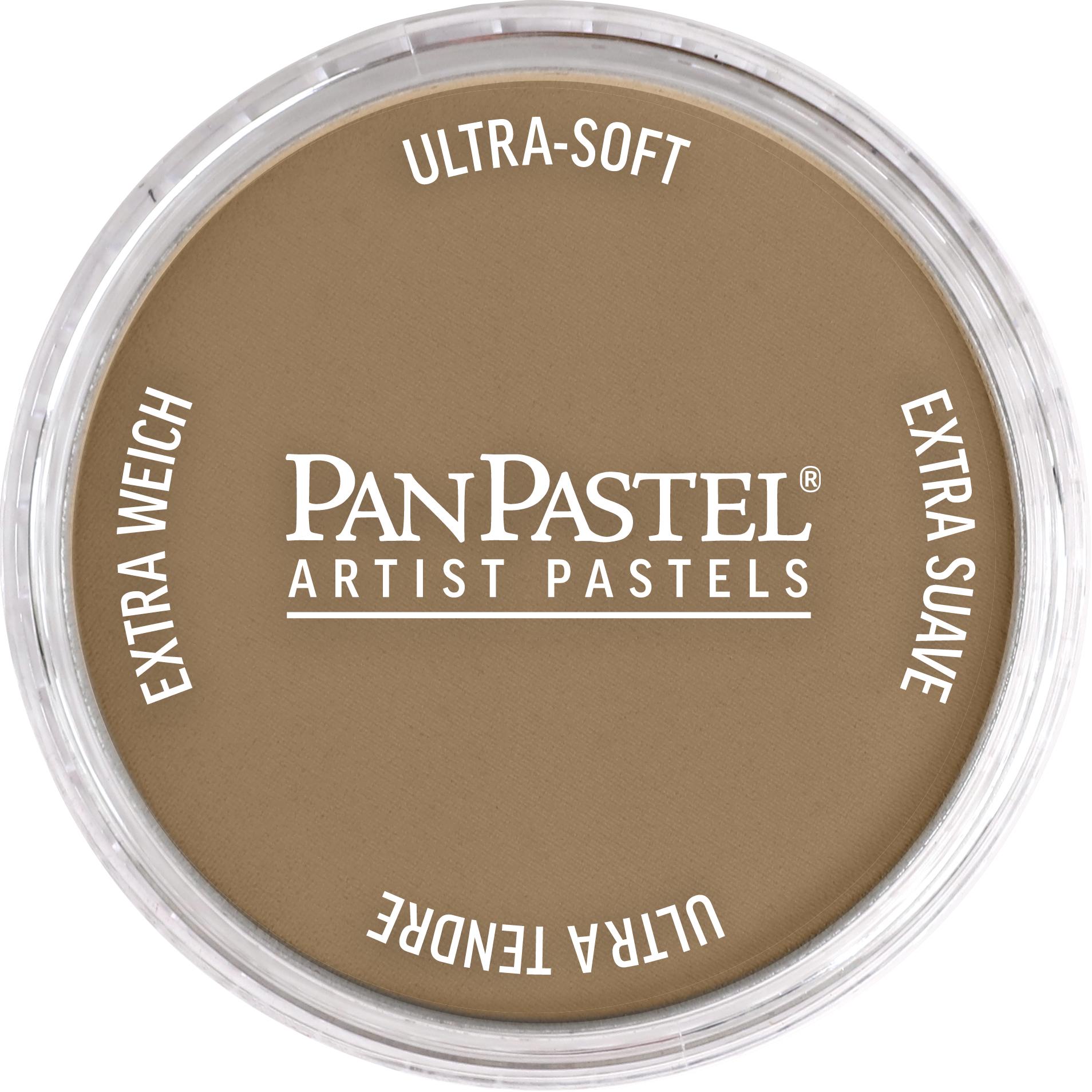 Пастель художня PanPastel 780.7 Raw Umber Light 9 мл (28769461)