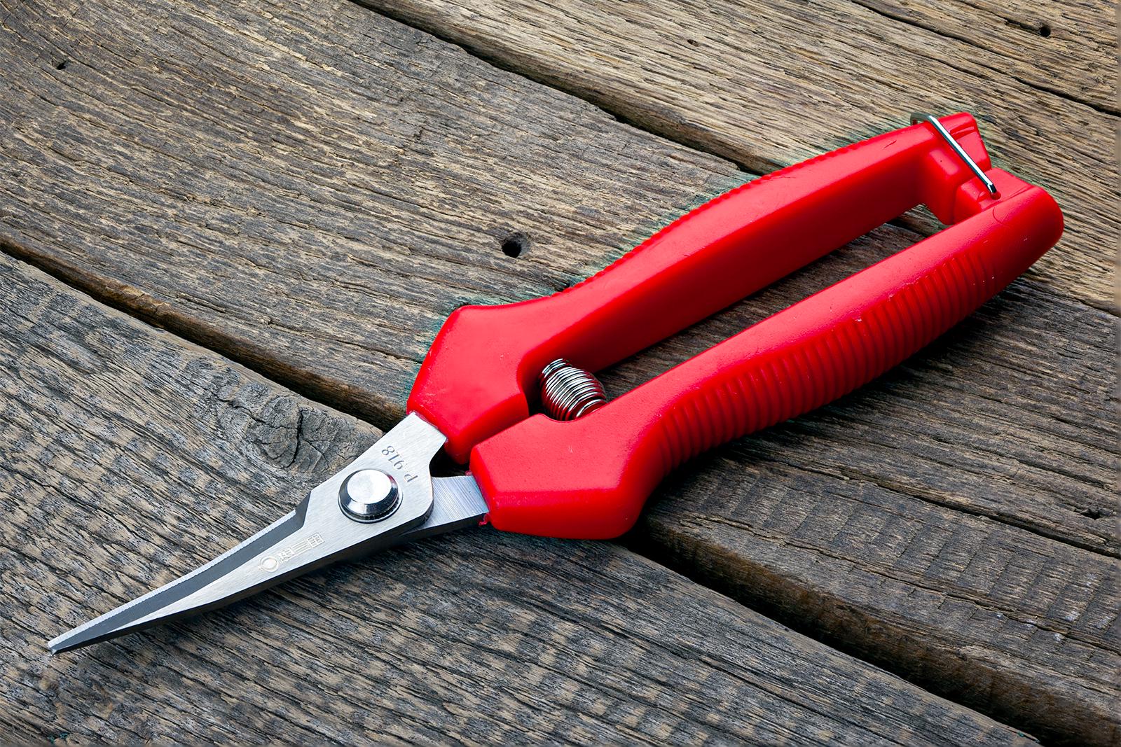 Садові ножиці Sagawata з нержавіючої сталі вигнуті 180 мм (P-918) - фото 7 Садові ножиці Sagawata з нержавіючої сталі вигнуті 180 мм (P-918) - фото 7