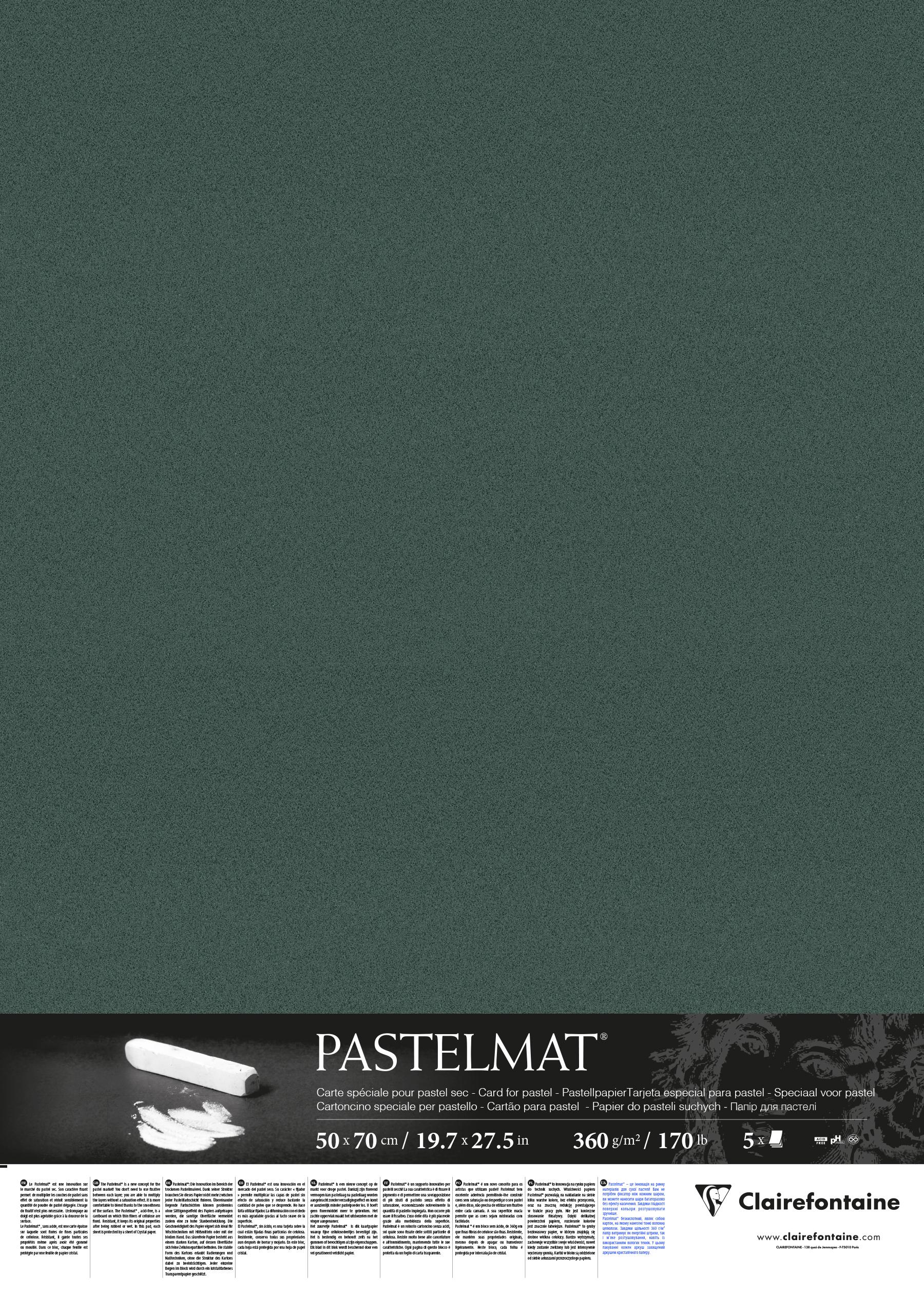 Аркуш Clairefontaine Pastelmat 50х70 см Dark Green (96168)